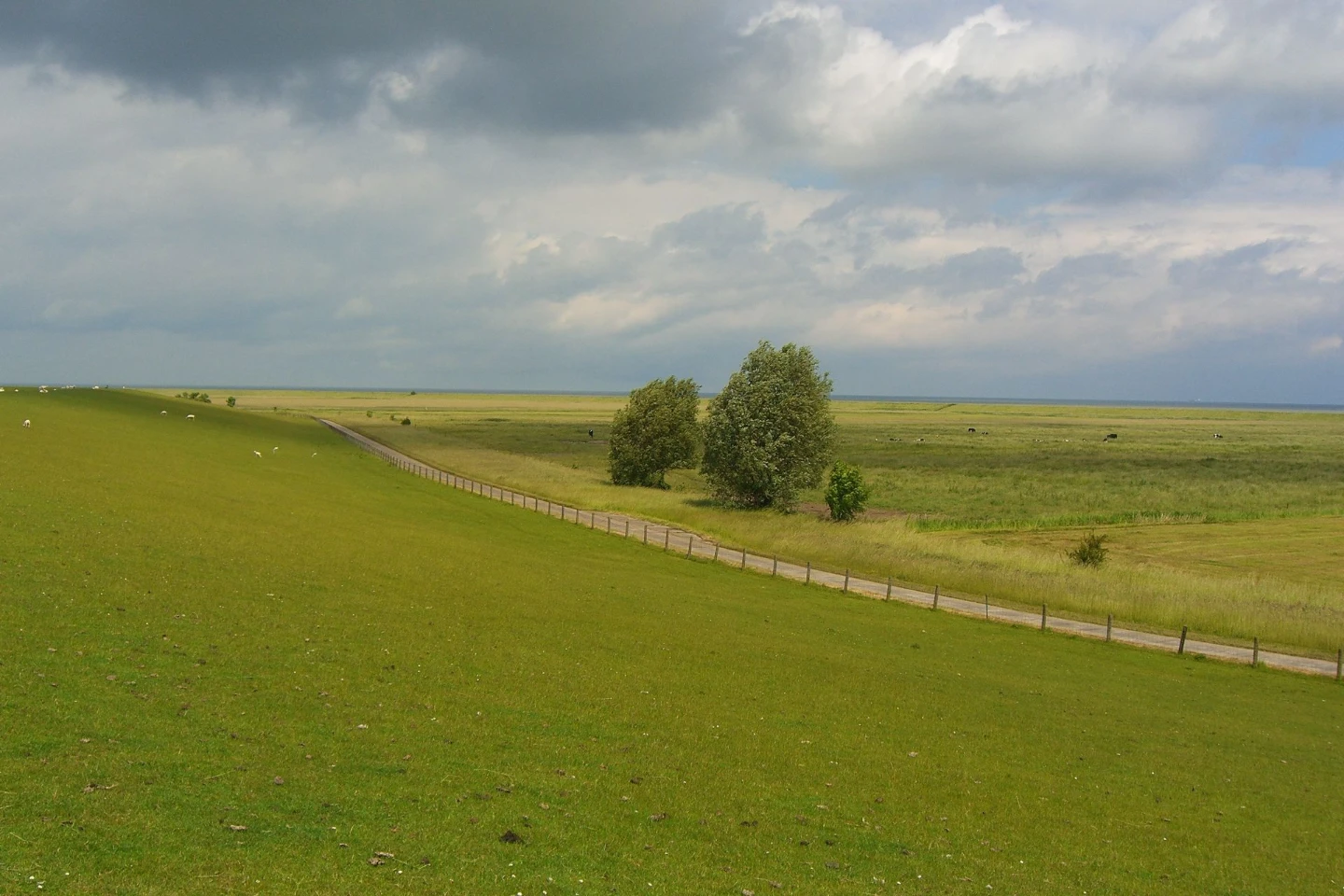 Ferienhaus Nordsee Mitteldeich Naturschutzgebiet FFH Butjadingen