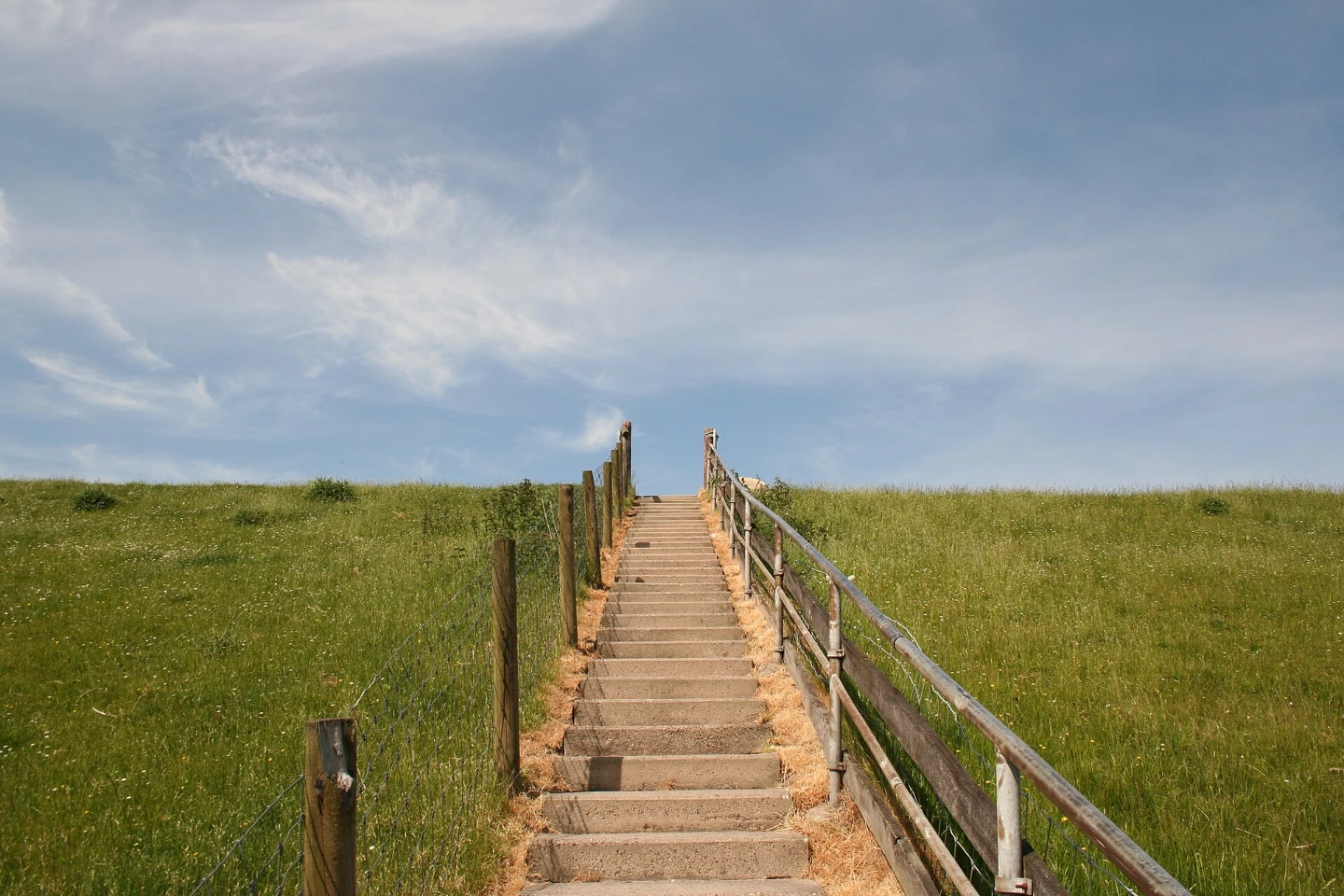 Ferienhaus Nordsee Tossens Deichlandschaft