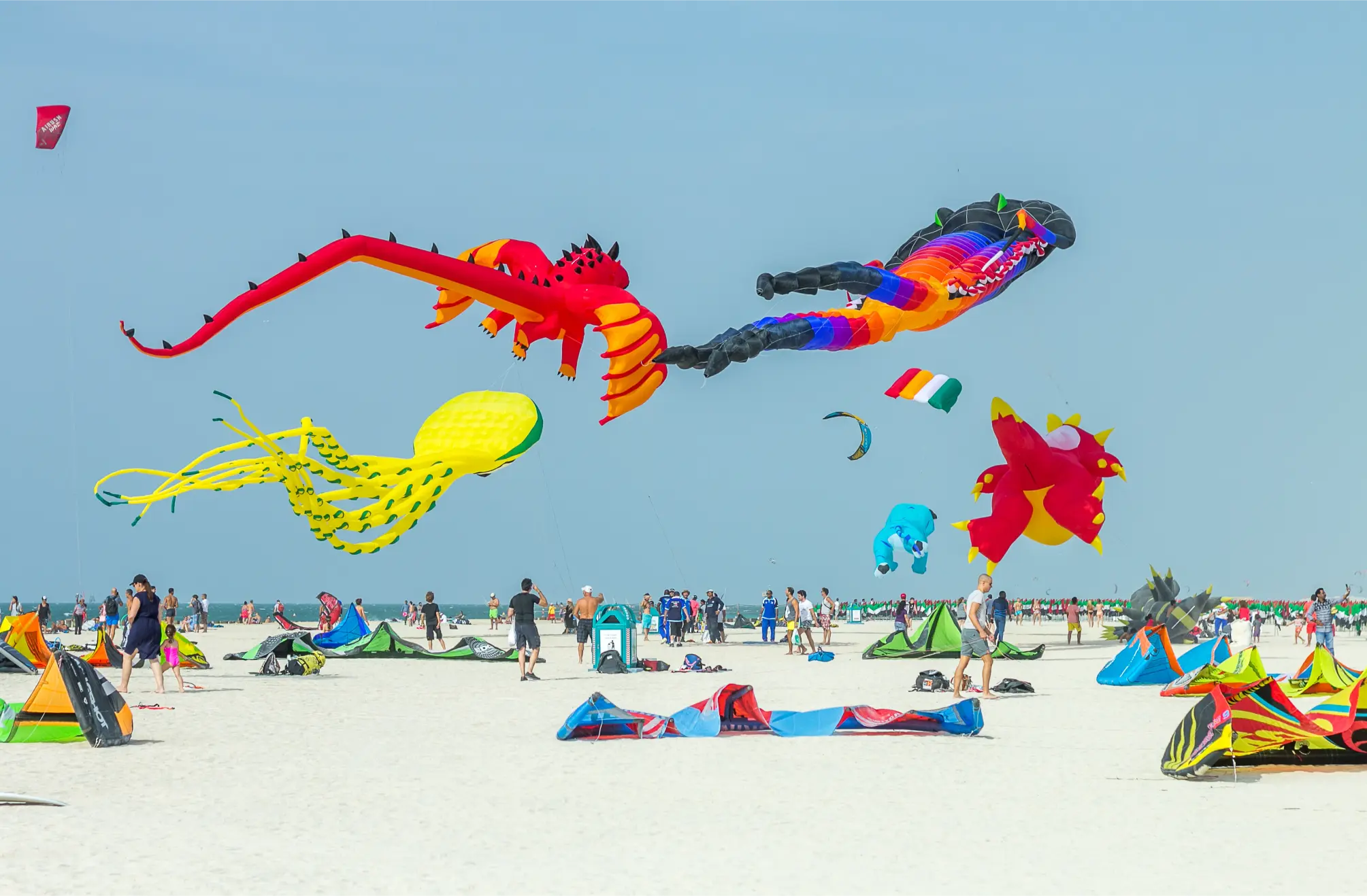 Bunte Drachen am Himmel beim Drachenfest in Tossens an der Nordsee