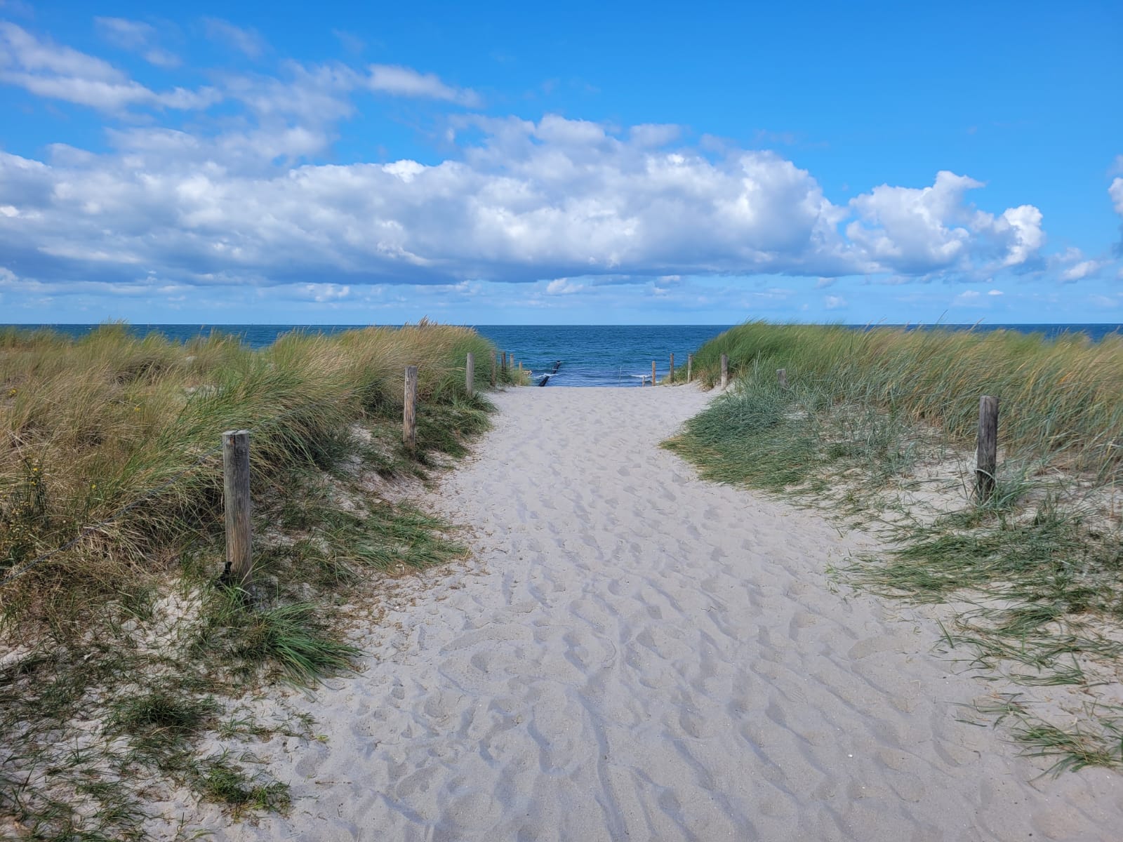 Weiter Nordseestrand in Butjadingen an einem Sommertag