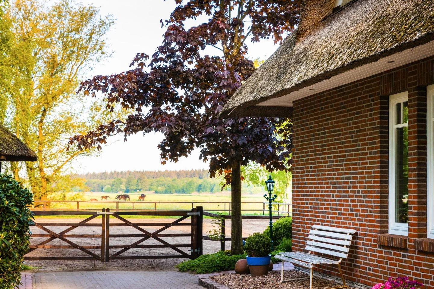 Reetdachhaus an der Nordsee in Butjadingen