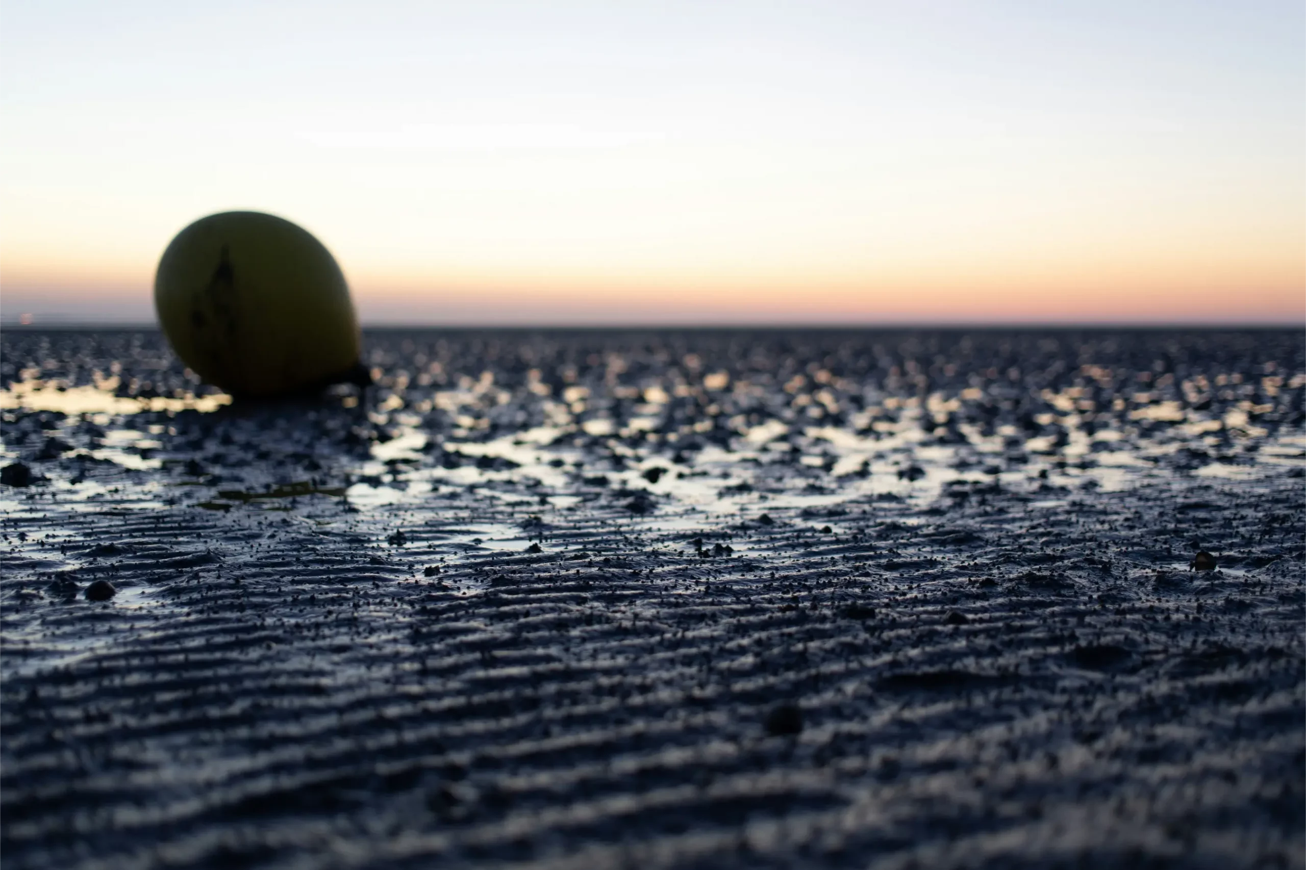 Wattenmeer an der Nordsee bei Butjadingen