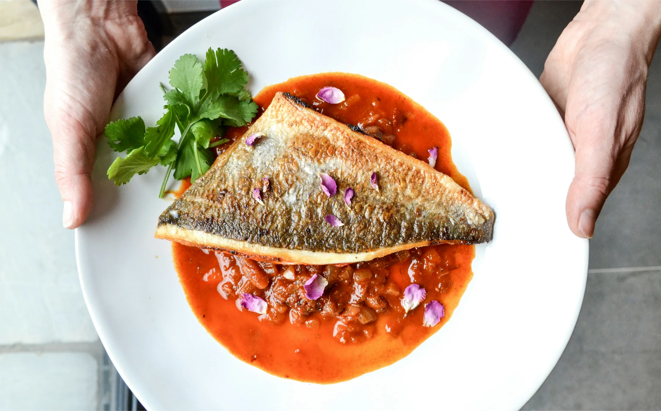 Frischer Fisch auf Teller Gastronomie Butjadingen Nordsee